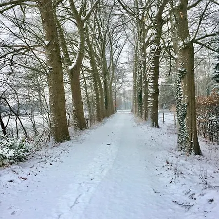 Apartamento Landgoed Hoeve Honeswei Winterswijk